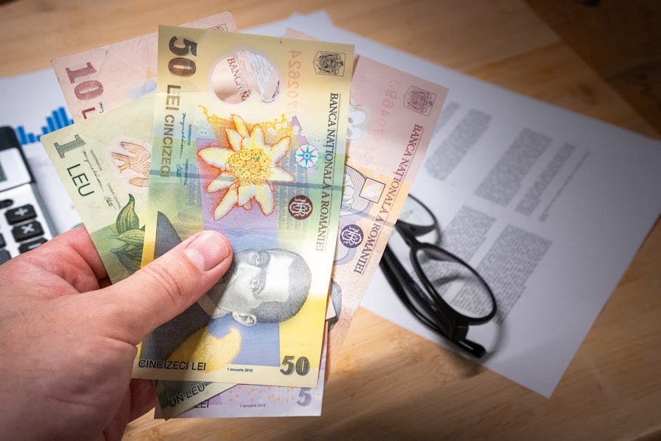 Brașovenii care au susținut bugetul local cu 290 milioane lei: provocările în încasări și impozitele din 2027
