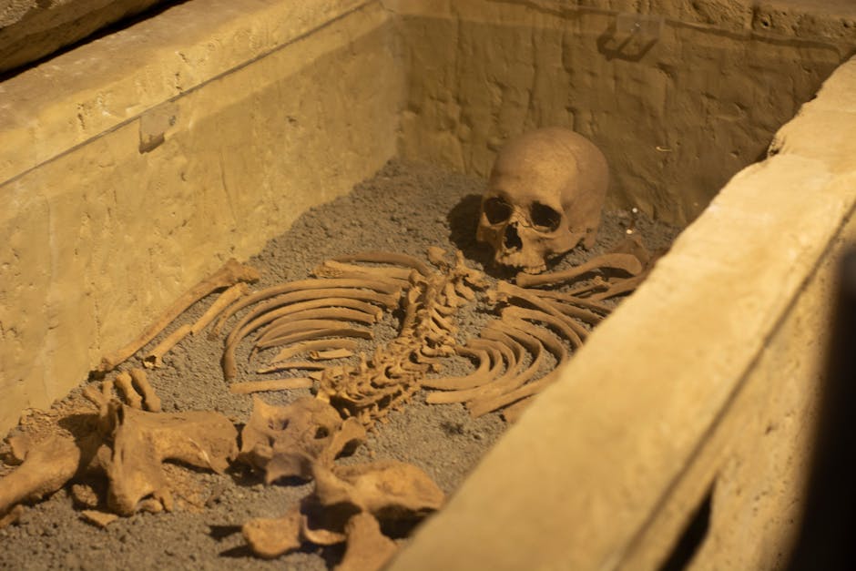 Descoperire macabră în cimitirul Strehareți: oseminte și un sicriu găsite în capelă