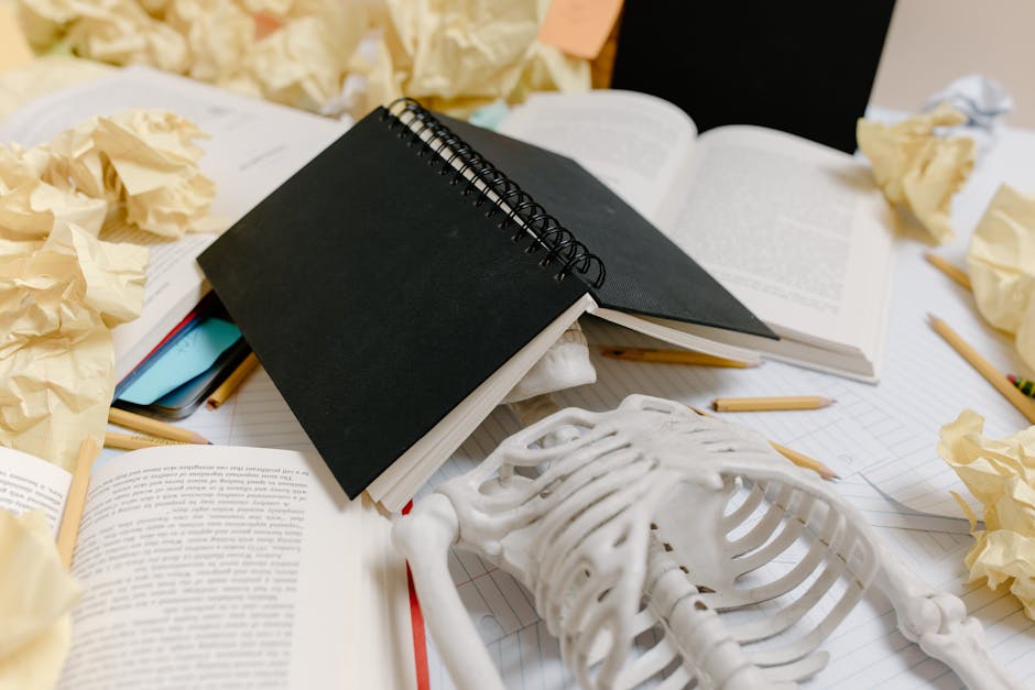 Profesorii iau în considerare boicotarea deschiderii anului școlar