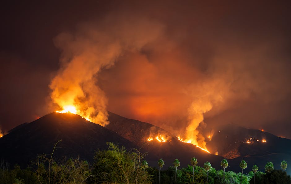 Flăcările devastatoare din Spania și California: o situație alarmantă