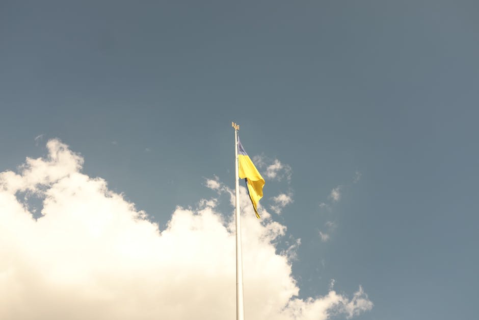 Mirabela Grădinaru aduce cuvântul 'dârzenie' la summitul de la Kiev