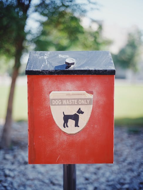 Cluj-Napoca planifică un cimitir dedicat animalelor de companie