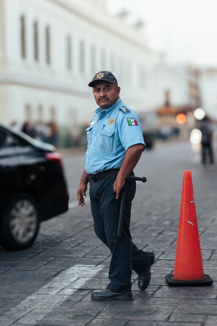 Întăriri ale Poliției Locale din Constanța: Amenzi de aproape 2 milioane lei și confiscări de vehicule