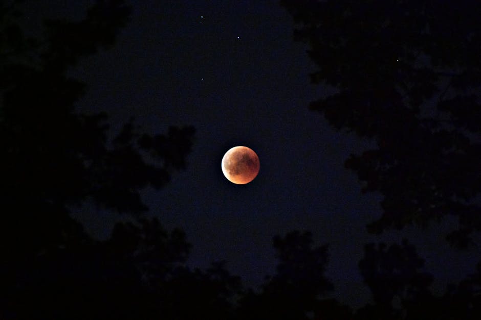 Eclipsă totală de Lună: Satu Mare va fi martor la un spectacol celestial