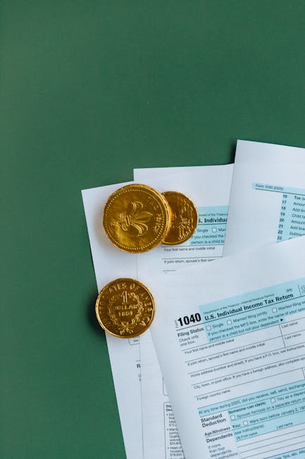Oradea înregistrează creșteri semnificative ale încasărilor fiscale