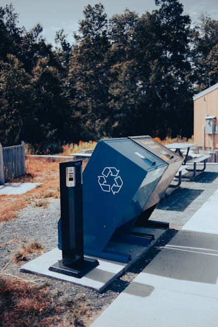 Timișoara introduce puncte speciale pentru ambalaje reciclabile în parcuri și centrul orașului