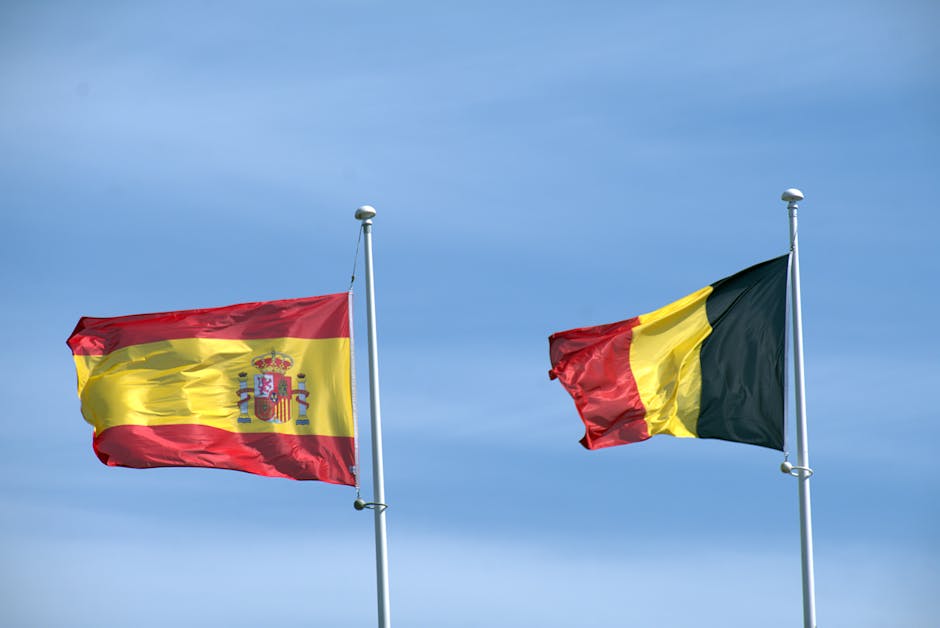 Declarațiile Oanei Țoiu: Rusia, o provocare constantă pentru România