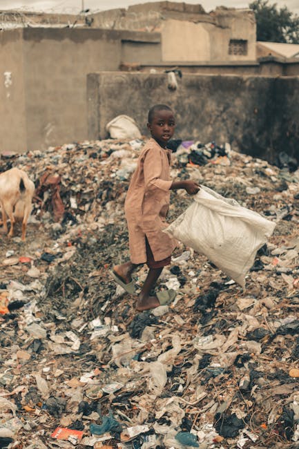 Vaslui: Eco-insulele, o soluție necesară, dar pline de provocări