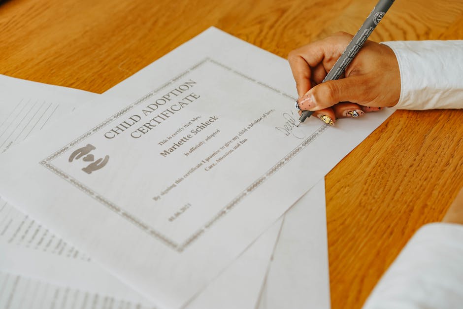Obține rapid certificatul constatator online: ghid pas cu pas