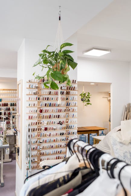 Un nou jucător pe piața românească: retailerul Tatuum își deschide magazine și angajează