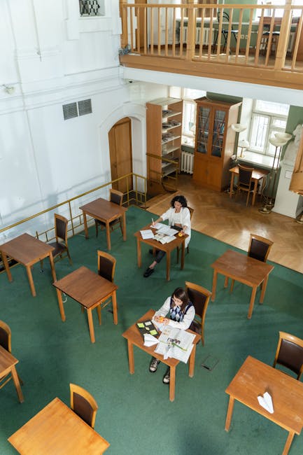 Reforma educațională în Ilfov: fuziunea unităților de învățământ începe în 2025
