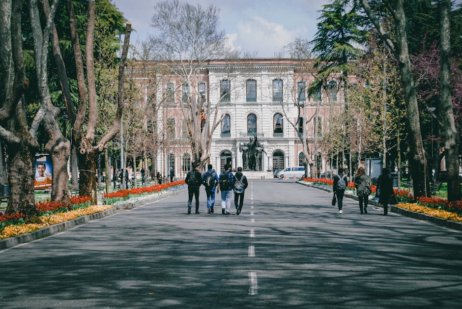 Caminele studențești din Târgu Mureș: programul de vară 2026