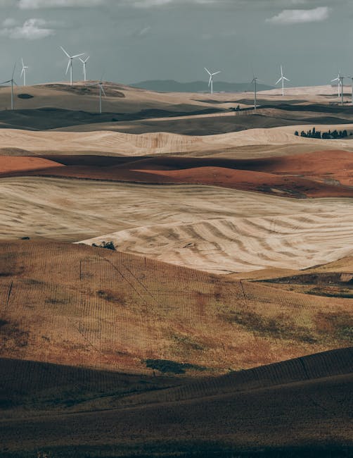 Acordul SUA-UE în domeniul energiei: detalii esențiale și perspective viitoare