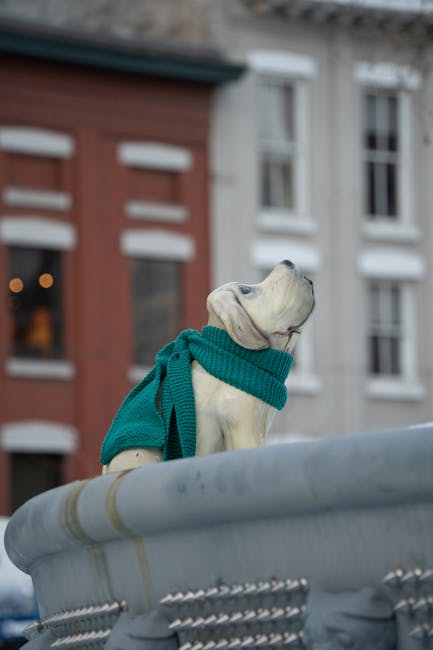 Statuia câinelui străzii: un simbol emoționant al suferinței canine