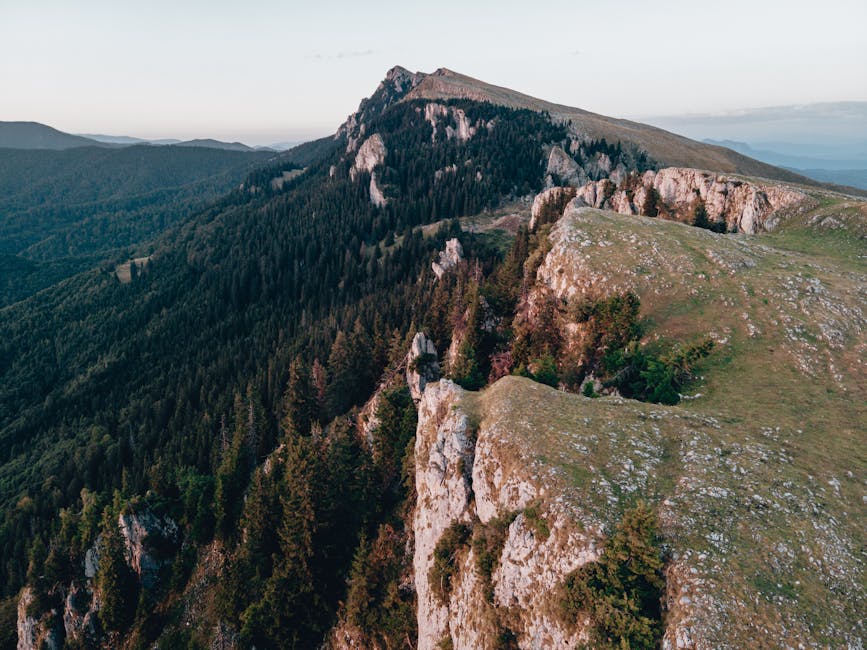 Colaborare româno-ucraineană pentru conservarea naturii în Maramureș