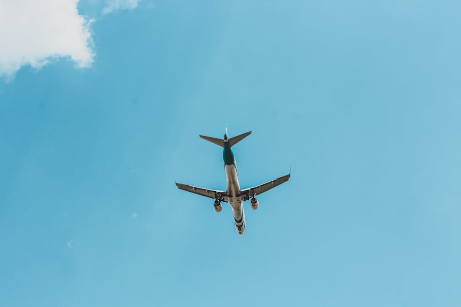 Evoluția circulației aeriene în România: eveniment de amploare la Venus