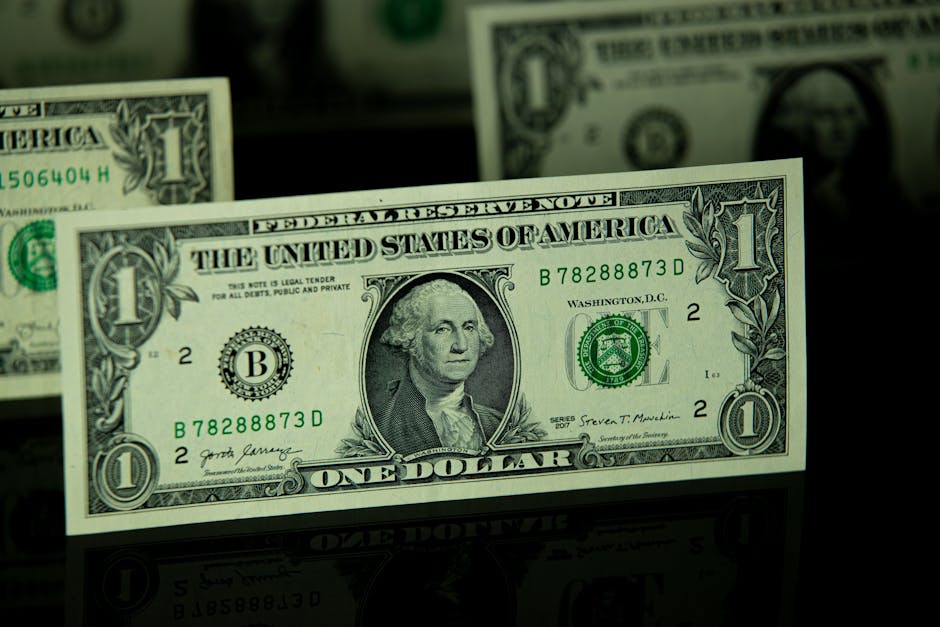 Conflictul dintre Trump și Federal Reserve: demiterea lui Lisa Cook stârnește controverse