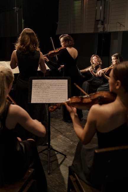 Concert simfonic de neuitat în Deva: o seară vieneză sub cerul liber
