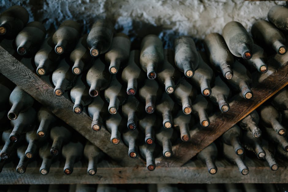 Descoperă strugurii de vin de calitate direct de la fermierii locali