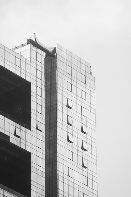 Ser Expert SRL: O nouă firmă de construcții își face debutul în Lumina