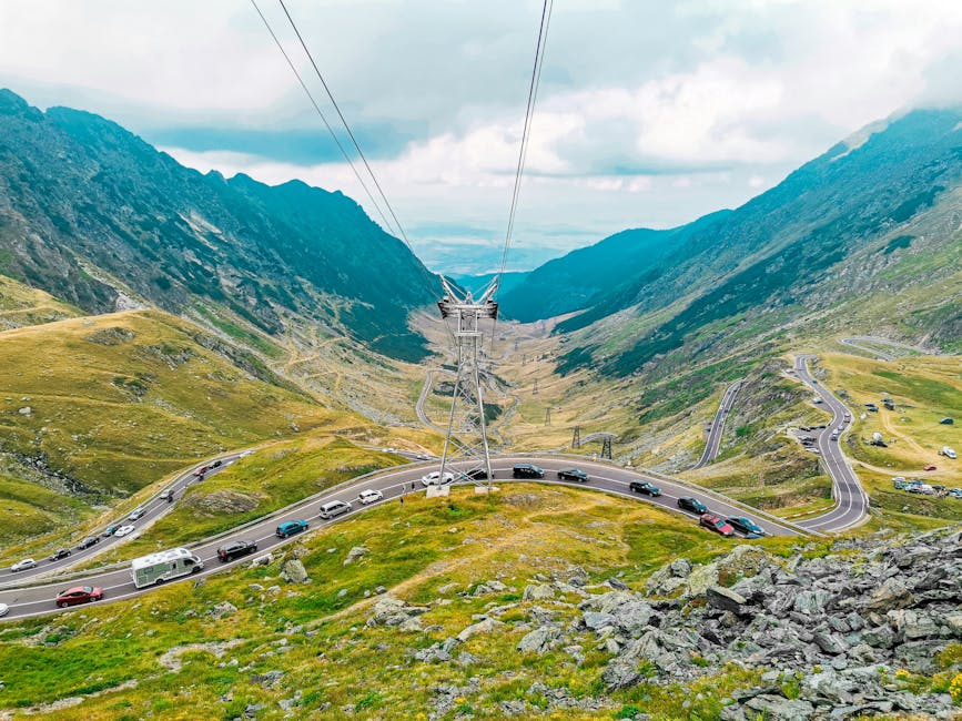 Ursul vandalizează mașina turiștilor pe Transfăgărășan: incident surprins în imagini