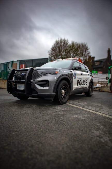 Un șofer beat provoacă haos în curtea Poliției Dolj