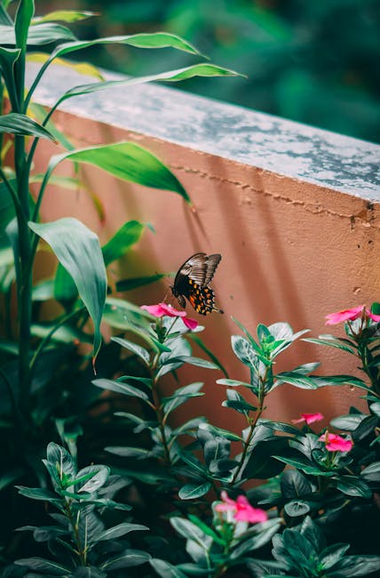 Insectele surprinzătoare care protejează Bucureștiul de dăunători