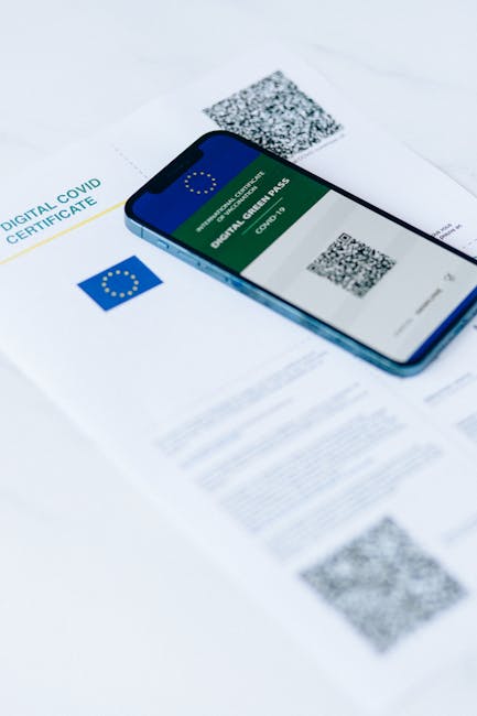 Descoperă MAI RO Wallet: aplicația care revoluționează gestionarea documentelor de identitate
