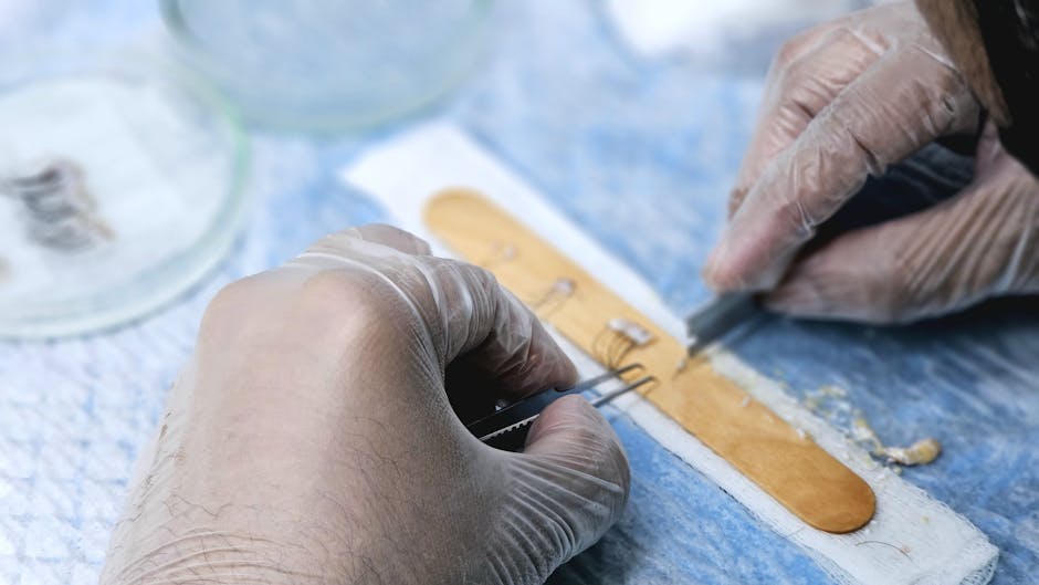 Transplant inovator: Plămân de porc utilizat în premieră pe un pacient uman