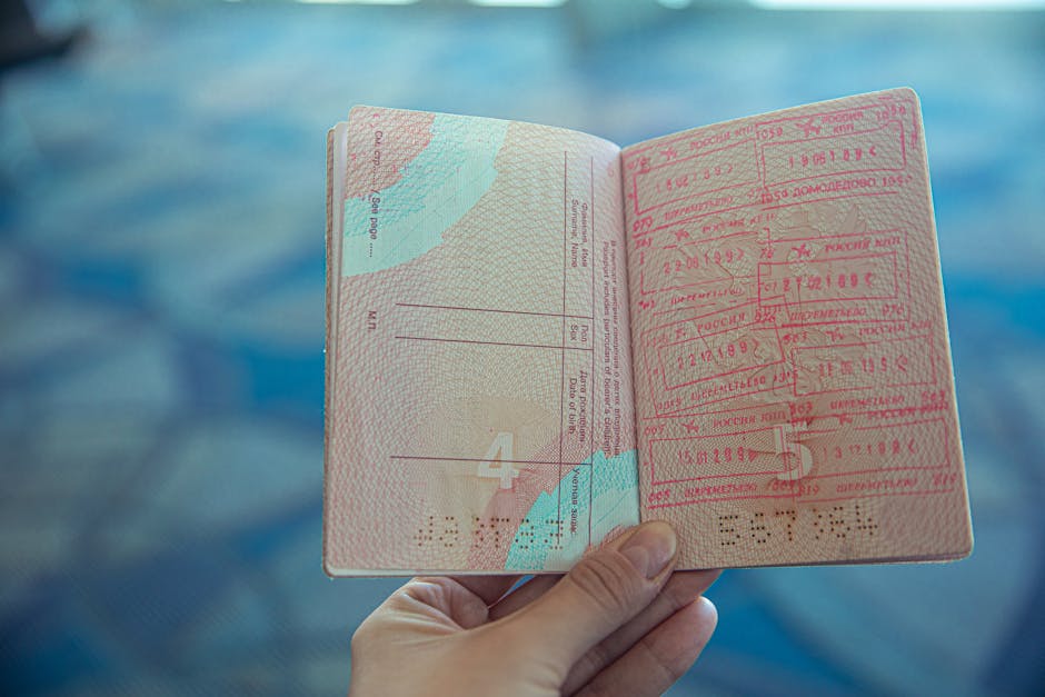 Oana Ţoiu: Progres în procesul Visa Waiver pentru România