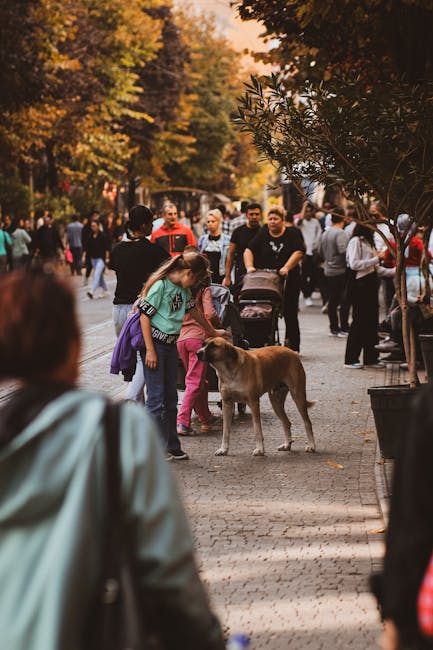 Piatra-Neamț sărbătorește Ziua Câinelui cu deschiderea dog-park-urilor