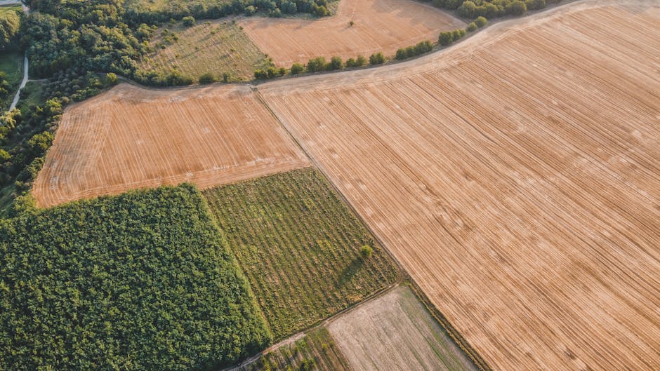 România, lider în numărul de ferme, dar cu teren agricol tot mai concentrat