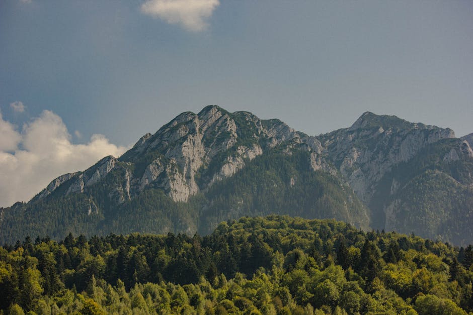 Tinerii din Zărnești cuceresc Piatra Craiului la un eveniment internațional