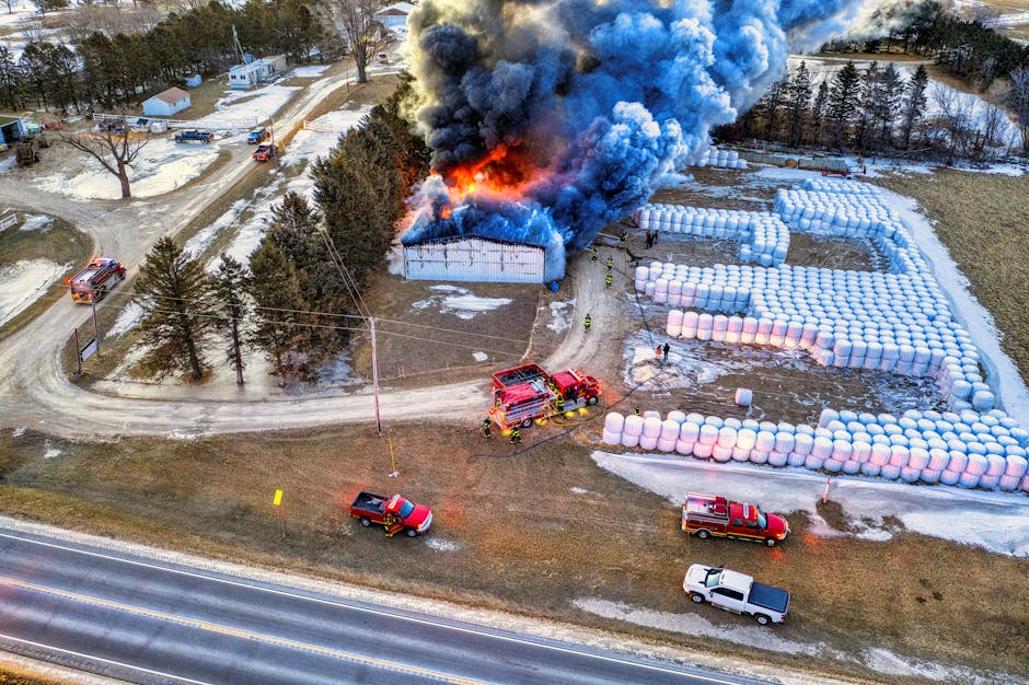 Incendiu devastator la o fermă din Satu Mare: sute de rotobaloți distruși de flăcări