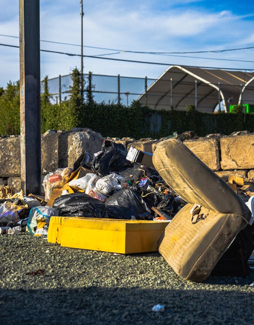 Soluții ferme pentru curățarea zonei Zăvoi din Ștefănești