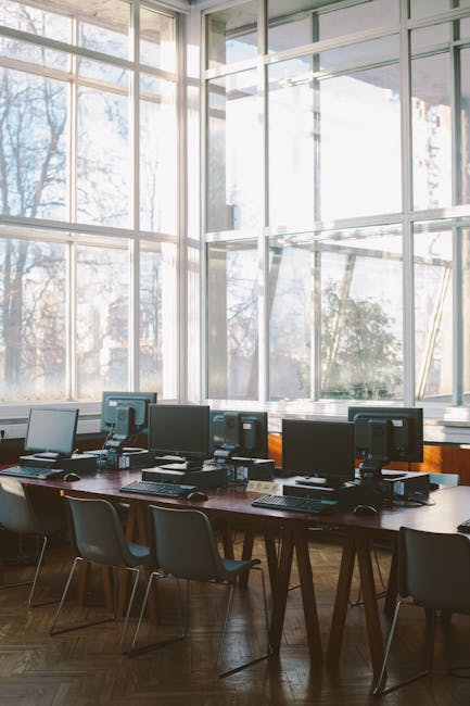 Bibliotecile din Harghita primesc echipamente digitale de ultimă generație pentru a se transforma în hub-uri educaționale