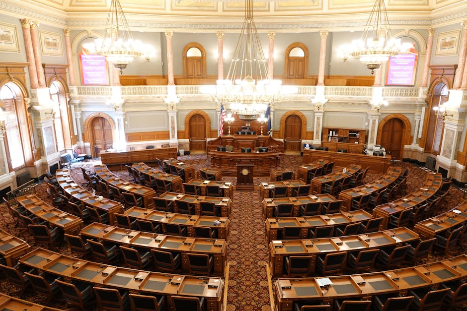 Senatul revizuiește examenul de admitere la liceu: proiectul se întoarce la Comisie