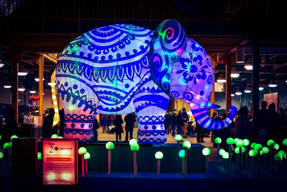 Descoperă evenimentele captivante din Timișoara pe 27 august 2025