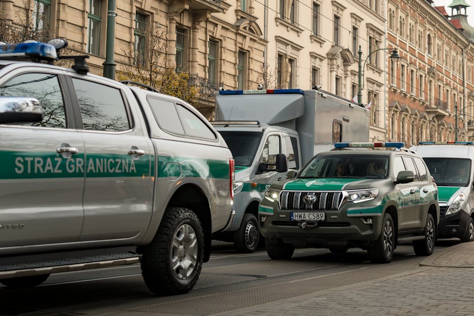 Doi migranți descoperiți în semiremorca unui camion pe ruta Turcia-România