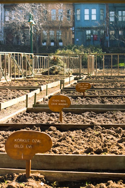 Liceele agricole din România în pericol de a rămâne fără fonduri PNRR: Liceul Agricol „Dimitrie Cantemir” luptă pentru viitorul educației agricole