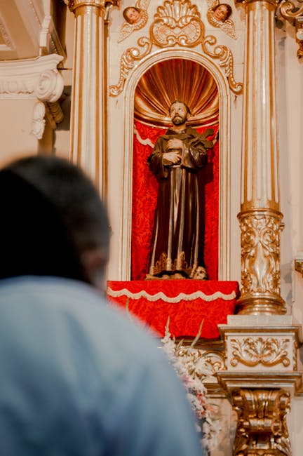 Relicva lui Francisc de Assisi, un moment istoric pentru România
