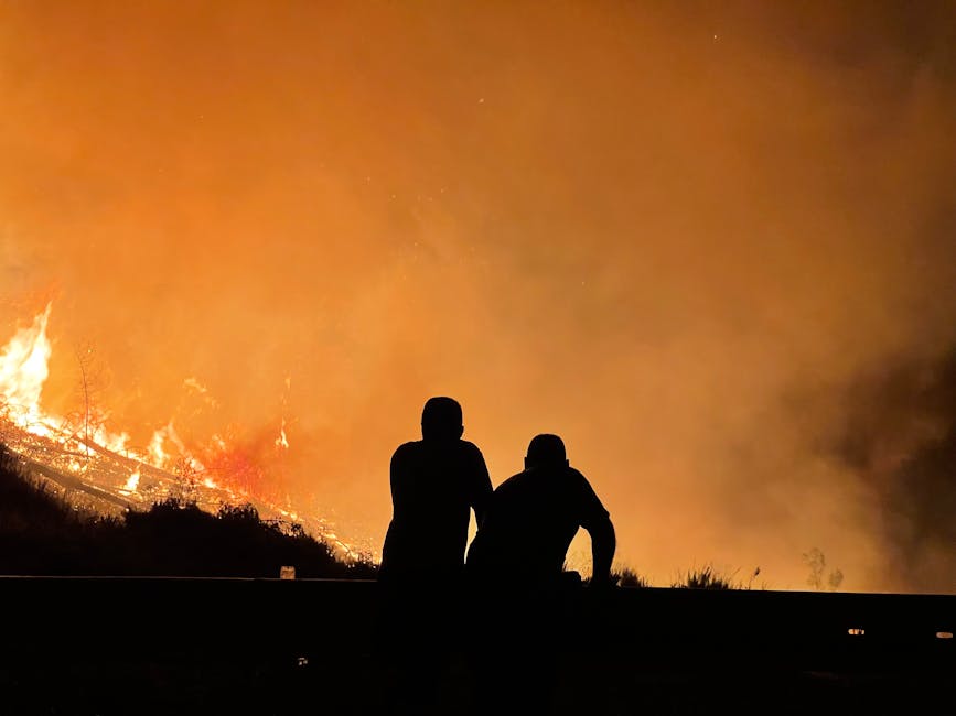 Incendii devastatoare în Croația: Peste 10.000 de persoane evacuate din calea flăcărilor
