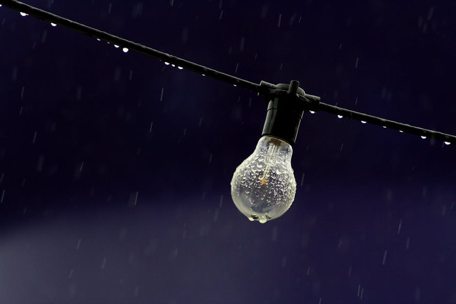 Hidroelectrica clarifică: prețurile energiei rămân neschimbate