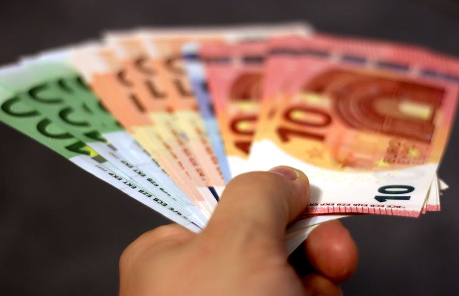 Oportunități de finanțare în Hunedoara: întâlniri productive cu administrația locală