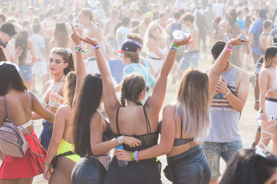 Festivalul Focus in the Park 2025 aduce muzica alternativă în Sibiu