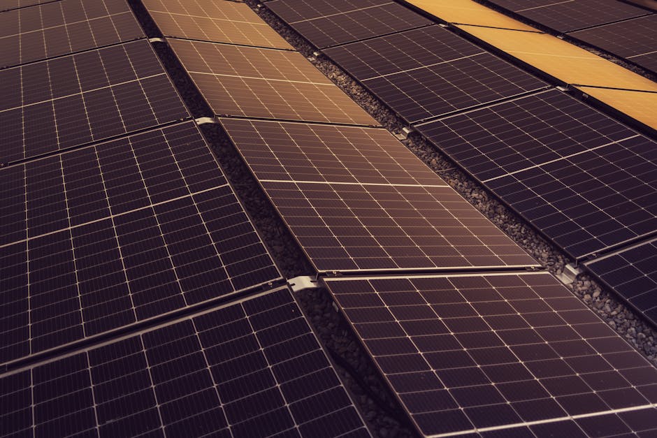 Craiova investește în energie verde: licitație pentru un parc fotovoltaic inovator