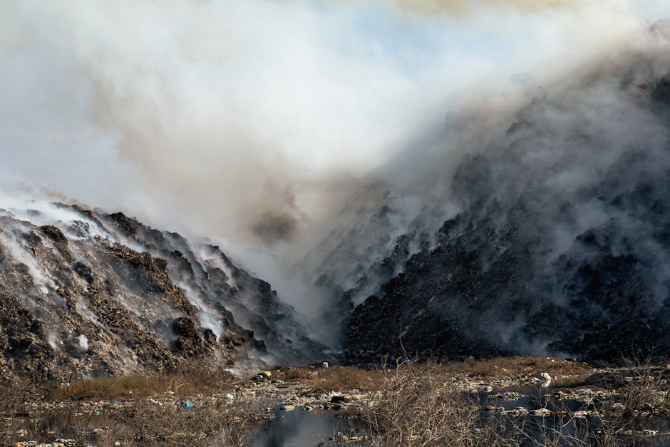 Incendiul din Rusciori: Direcția de Mediu monitorizează aerul în Cristian