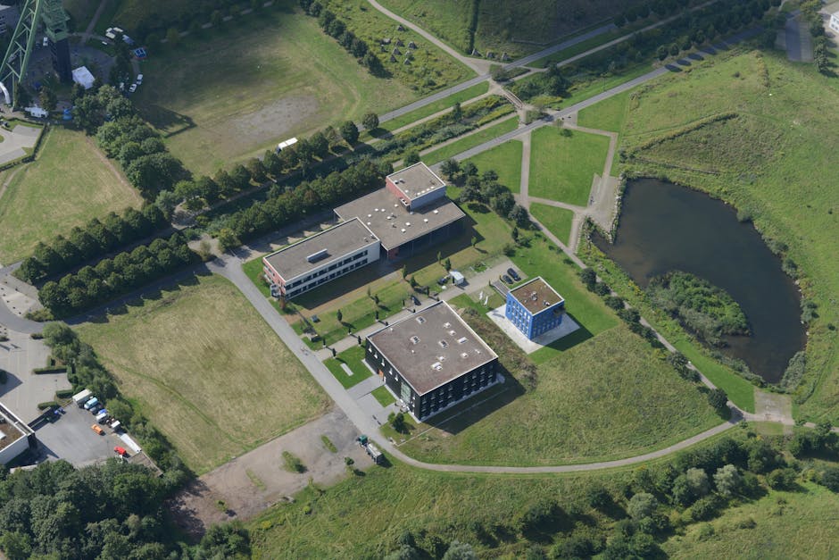 Noua școală verde din Dumbrăvița, un pas important pentru educația ecologică