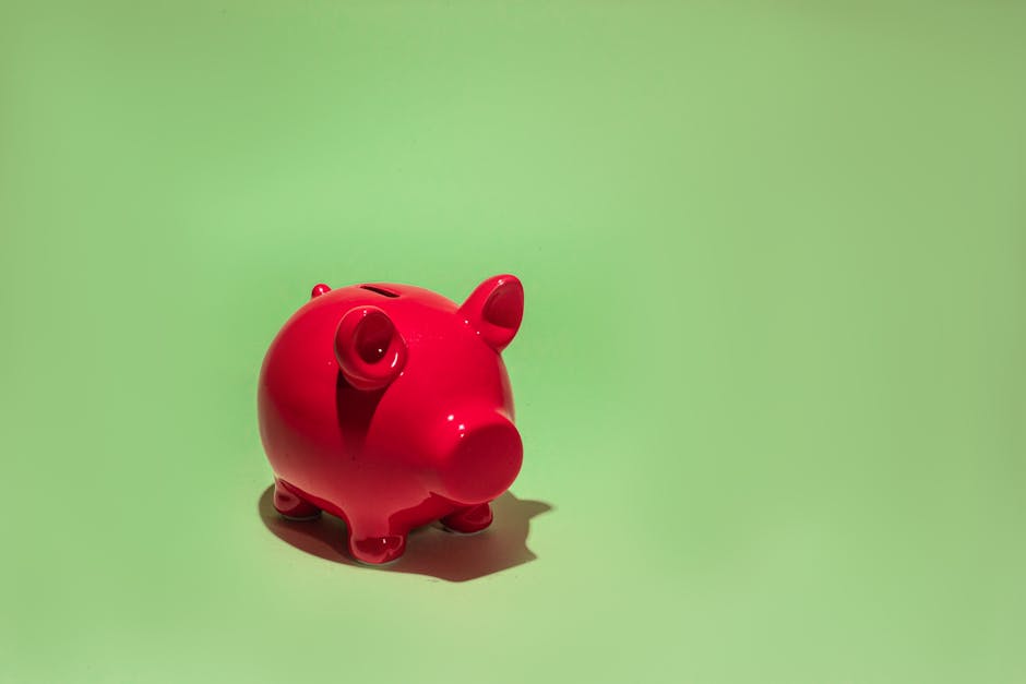 Credit sau economii: cum să navighezi în vremuri de incertitudine financiară
