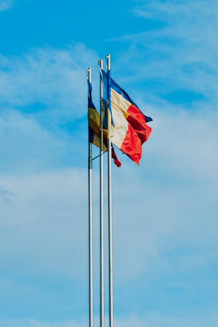 Albești obține oficial un steag heraldic distinctiv